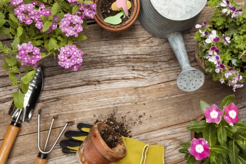 Selection of native plants for Hounslow gardens