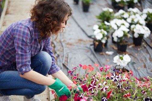 Professional gardener tending to plants in Hounslow garden