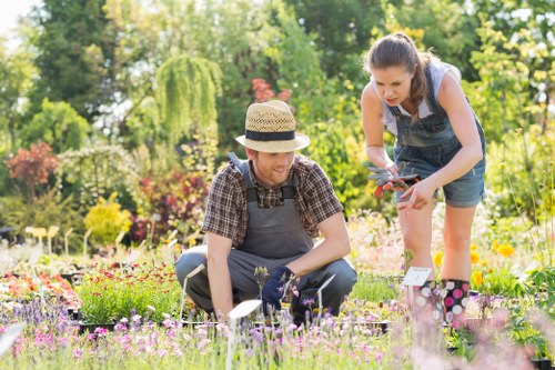Garden tools and plant care essentials for Hounslow gardens