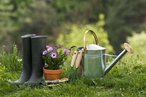 Healthy and well-maintained garden hedges
