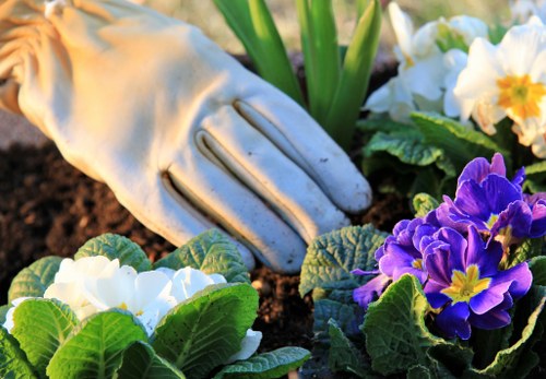 Eco-friendly landscaping practices in Hounslow